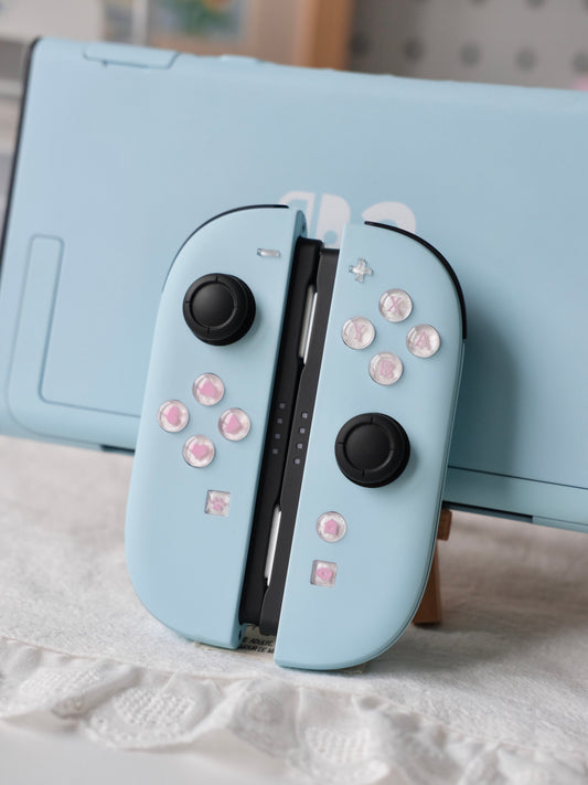 Custom Switch 2 Joy-Con | Matte Blue | Handmade Shell & Buttons